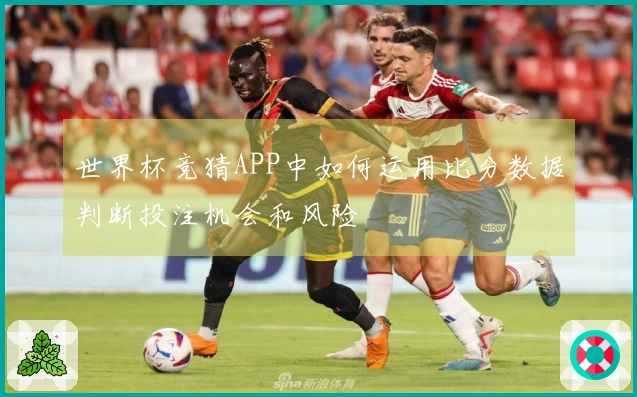 世界杯竞猜APP中如何运用比分数据判断投注机会和风险